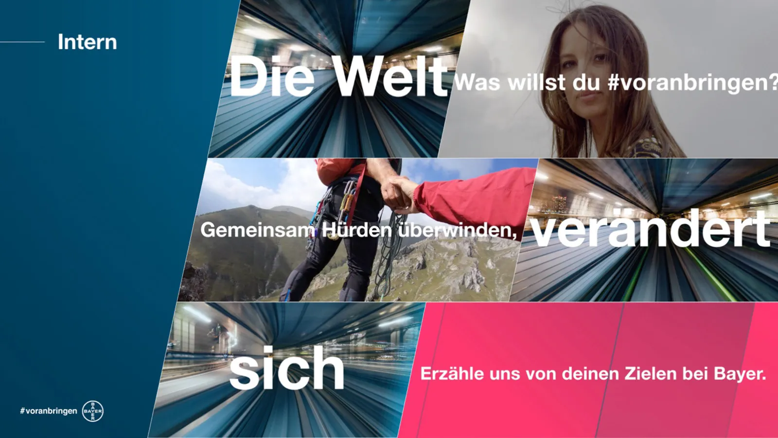 BAYER – reputation management campaign, Wolf-Eike Galle, image 10